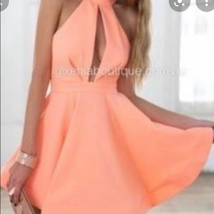 Coral pink fit and flare dress